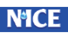 Nice logo